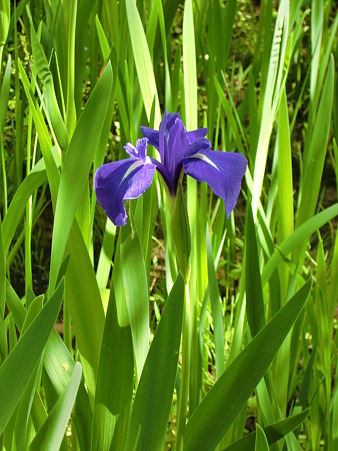 CIMG9304