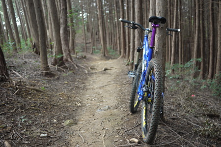 Trail Ride