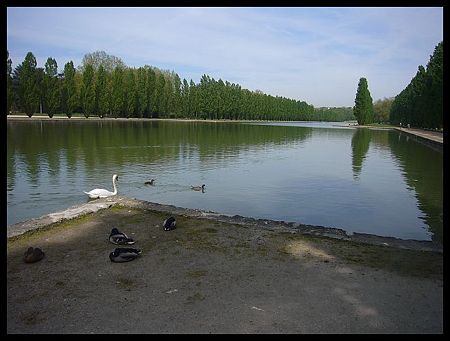 P2430791