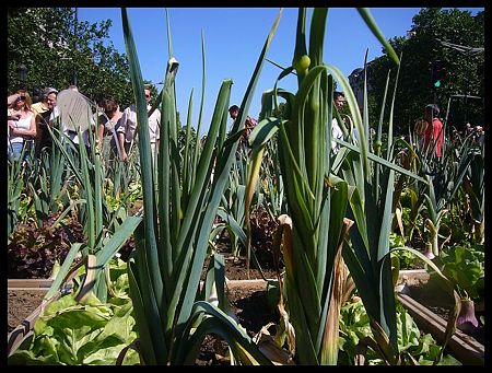 P2470059