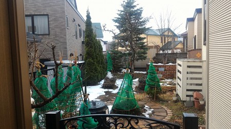 P_20171123_132300