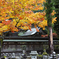 Photos: 鶏足寺08s