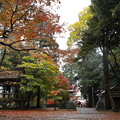 Photos: 鶏足寺22s
