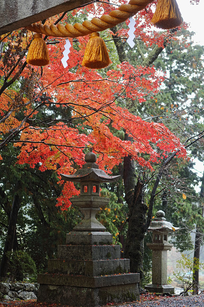 Photos: 鶏足寺24s