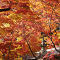 Photos: 永源寺05s