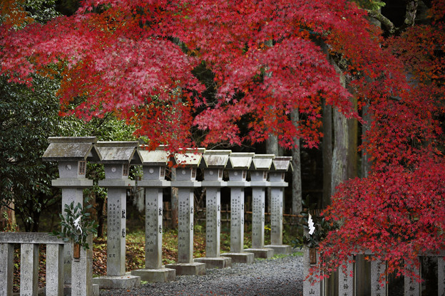 Photos: 松平東照宮05s