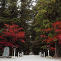 Photos: 小國神社01s