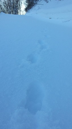 20141227_080643