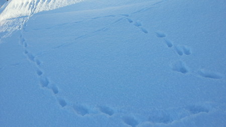 20141227_080951