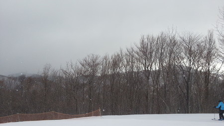 20150201_094531