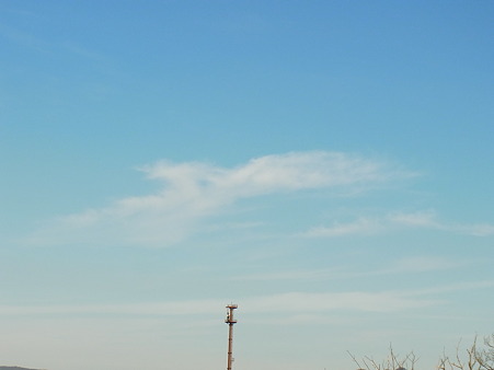 R0013099