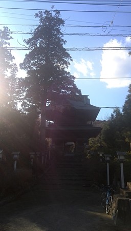勝楽寺の山門がとっても立派でしたそして大きな杉も。心に打つものがある。