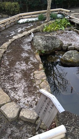 これが寒さの結晶