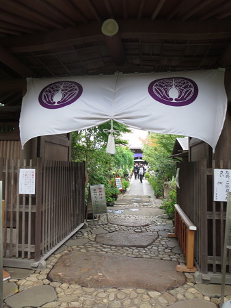 門@常泉寺