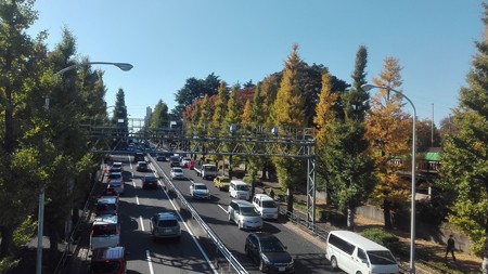 駒沢公園の紅葉