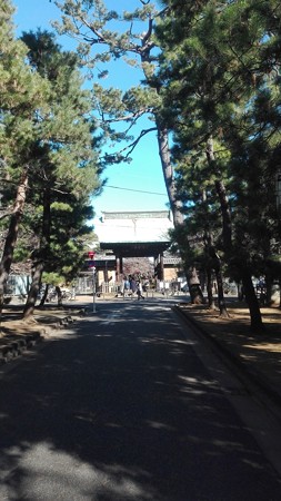 山門@豪徳寺