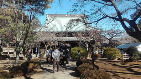 豪徳寺 仏堂