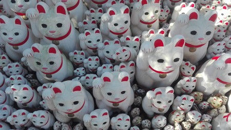 招福猫児4