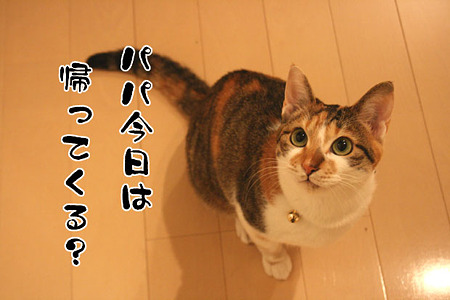 2010041501