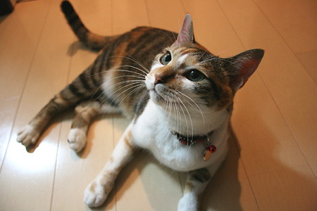 2010092703