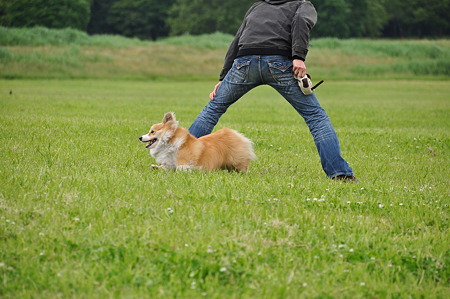 DSC_8367