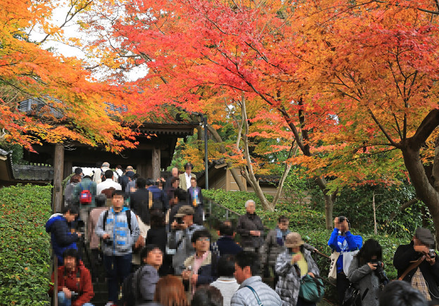 写真: x1M0A3728