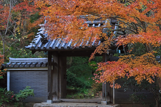 写真: z1M0A4461