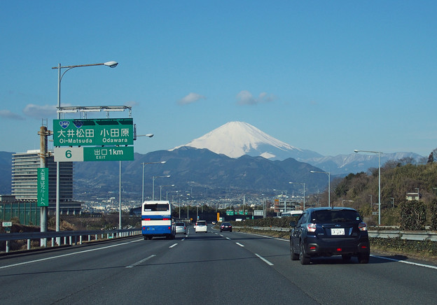 写真: zP2110027