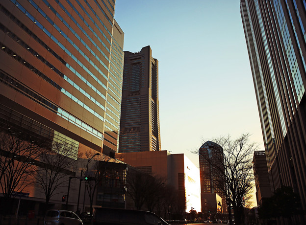 写真: z1M0A6589