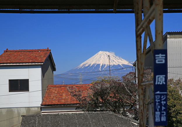 写真: z1M0A6769