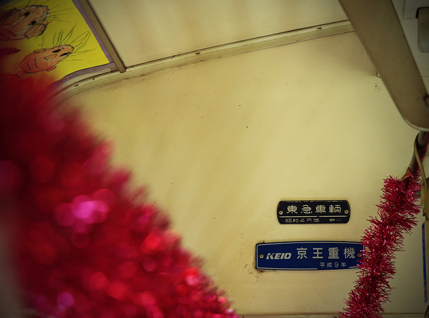 写真: z1M0A6815