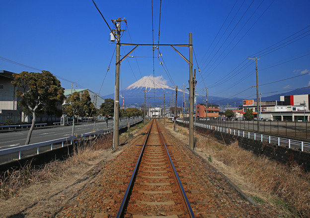 写真: z1M0A6893