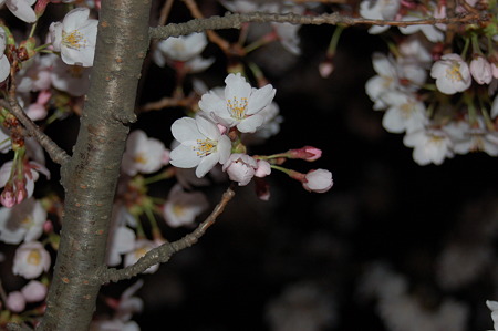 DSC_47950203DSC_4795