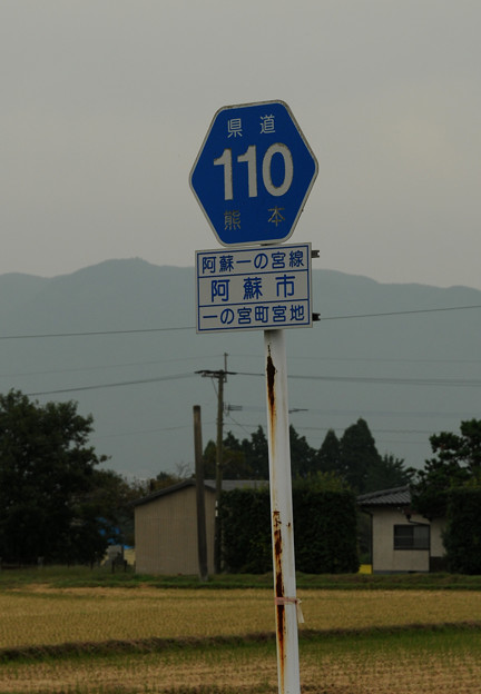 県道１１０号
