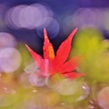 明日への賛歌