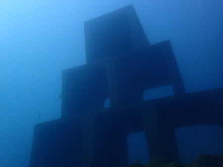 先月沈めたばかりなので、まだ海藻とかお魚は少ないですね