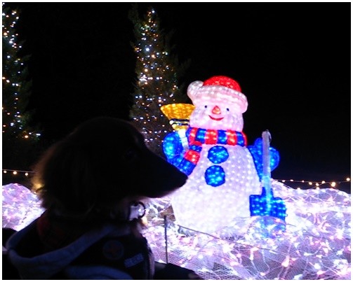 Photos: 2014120613
