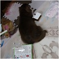 Photos: 2017121107