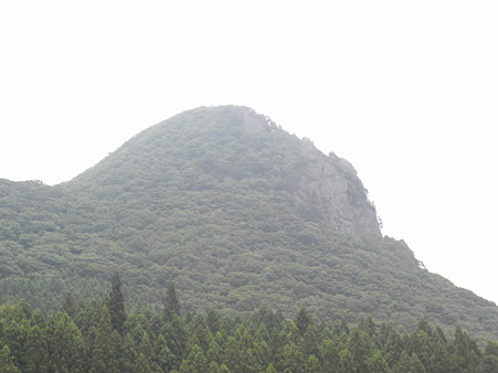 ゴリラ岩
