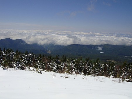 110524遭対協 四阿 (10)