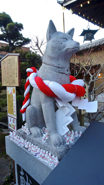 戌年で賑わう2018年正月の「伊奴(いぬ)神社」 - 28:本殿横に犬の像