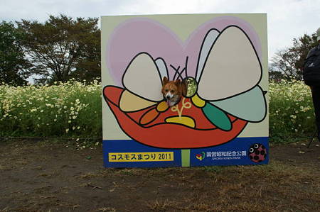 DSC03458