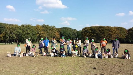 20141019_135403