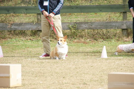 DSC03904