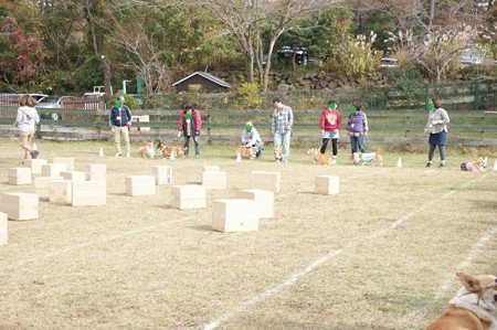 DSC03955