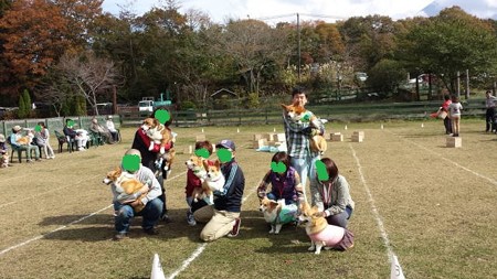 20141108_105317
