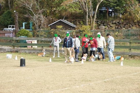 DSC03960