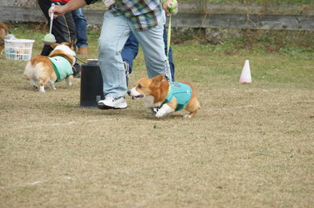 DSC03965