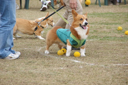 DSC04071