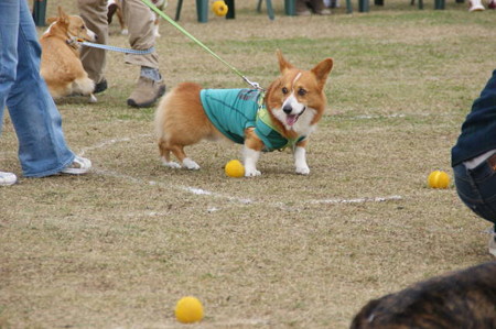 DSC04078
